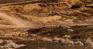 足球世界杯预选赛爆大冷，排名前五的强队遭淘汰