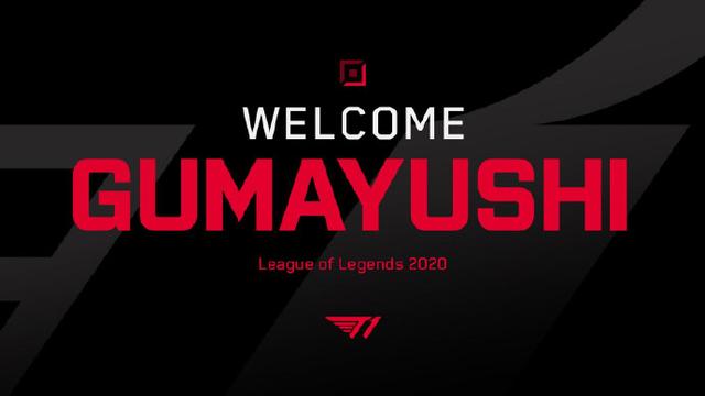 仅刷新了人 仅刷新了人