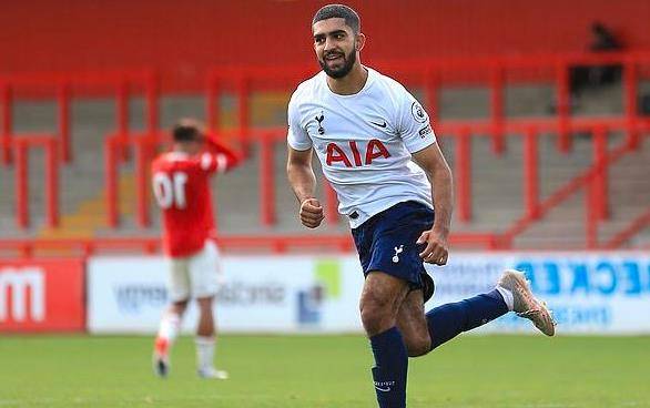 领域的蓬勃 领域的蓬勃